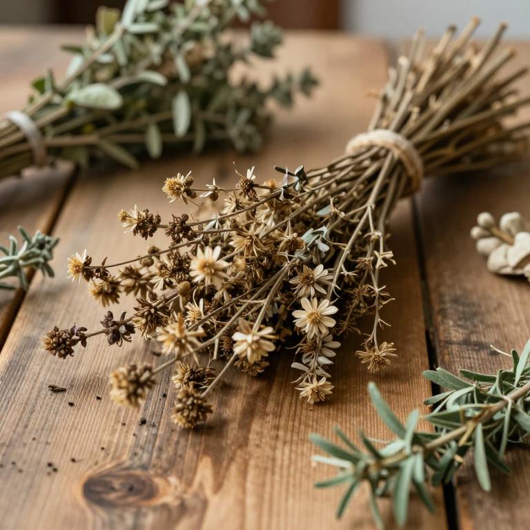 herbal Tripartite Tickseed