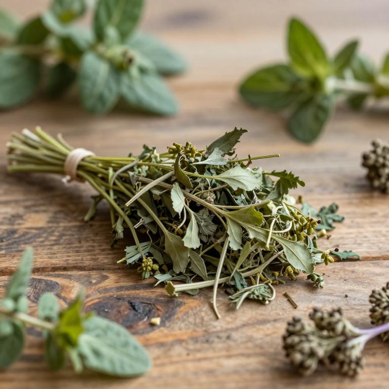 herbal White Mustard