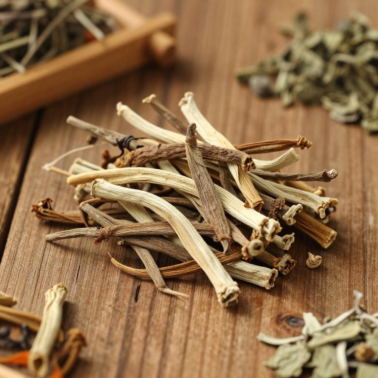 herbal Chinese Ginseng