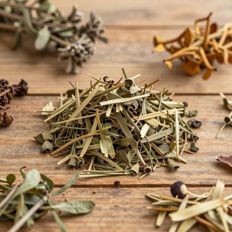 herbal Trifoliate Coptis