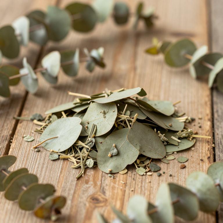 herbal Eucalyptus