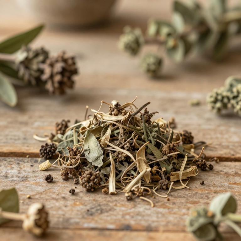 herbal Gum Arabic Tree