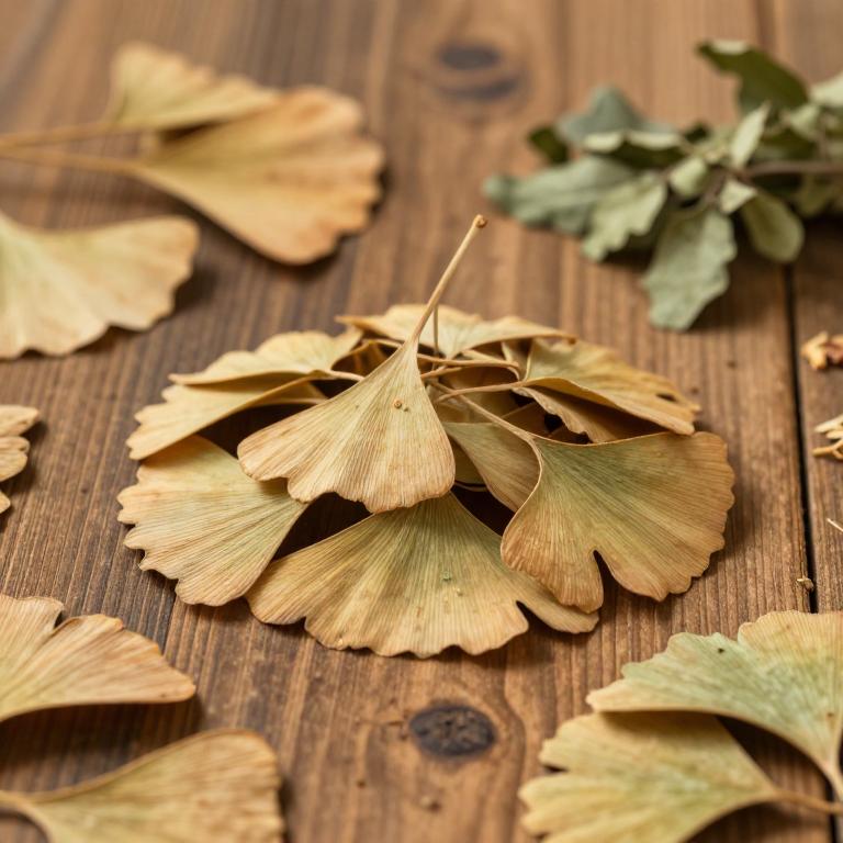herbal Ginkgo