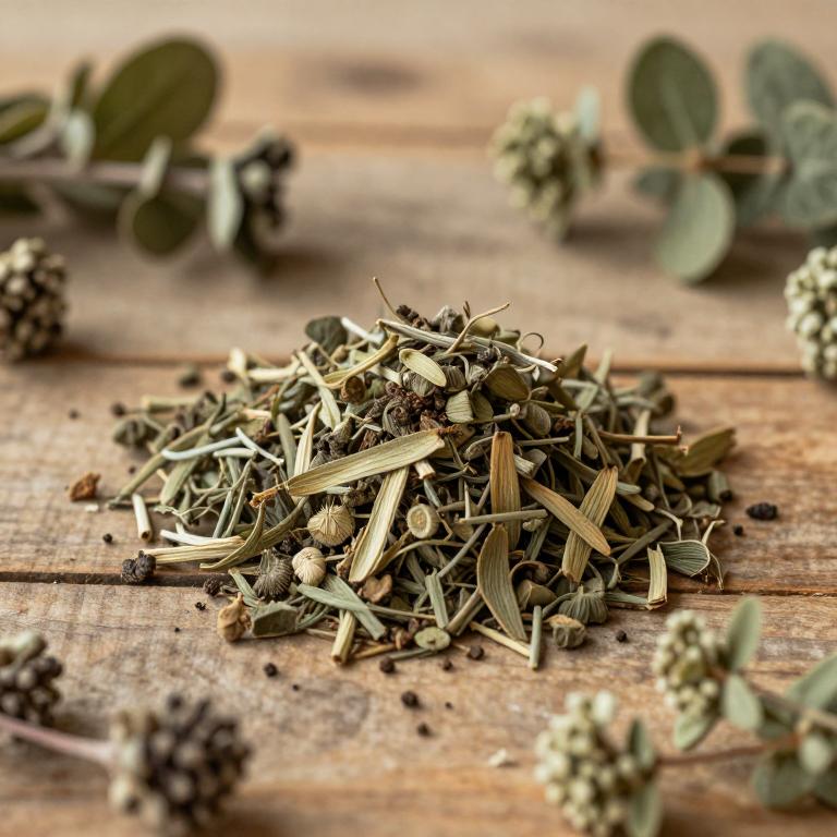 herbal Serrated Huperzia