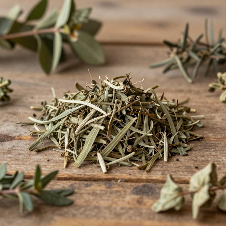 herbal Jateorhiza Palmata