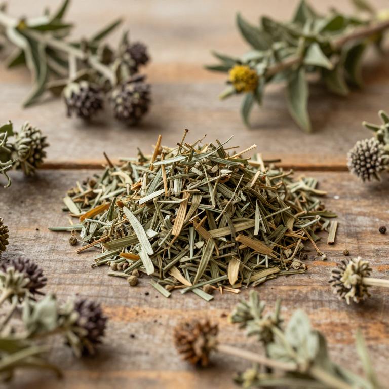 herbal Leonurus Sibiricus