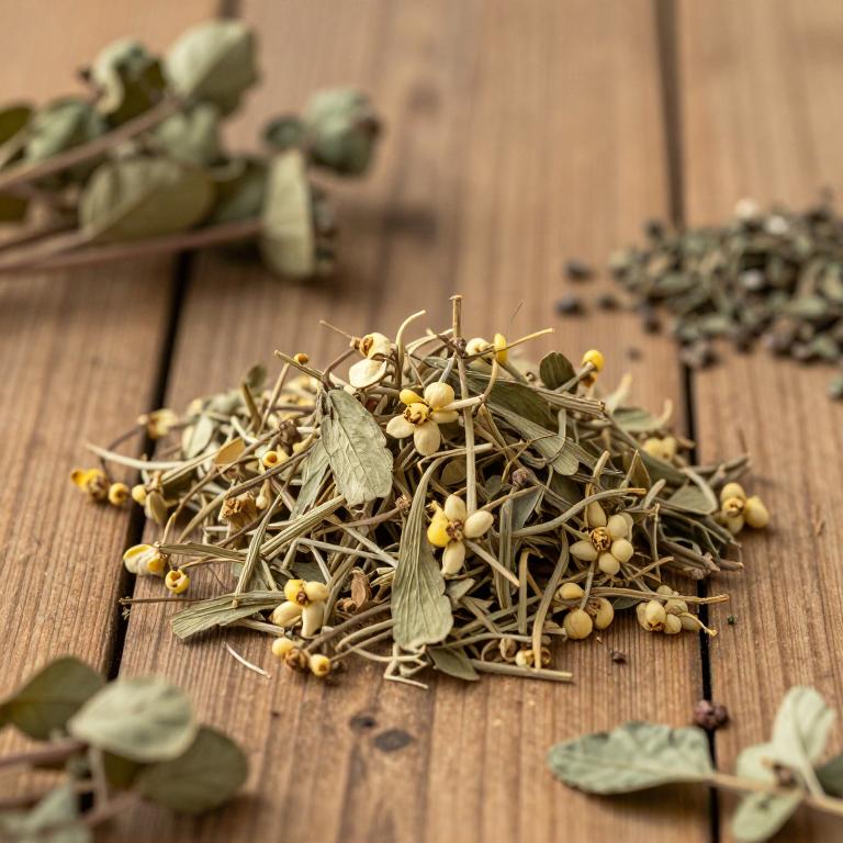 herbal Japanese Honeysuckle