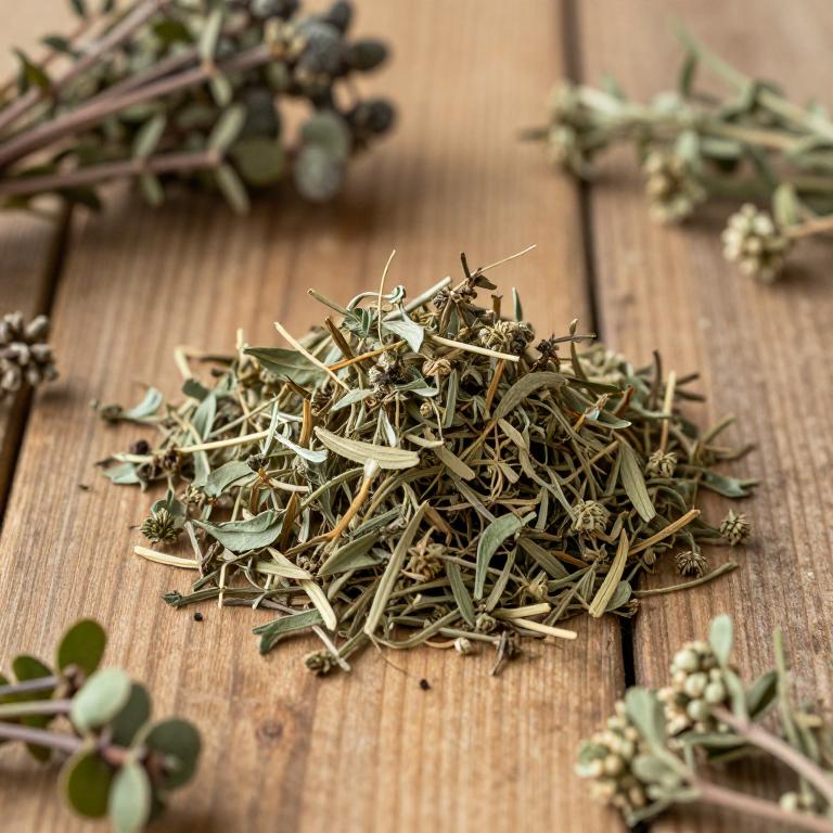 herbal Yellow Loosestrife