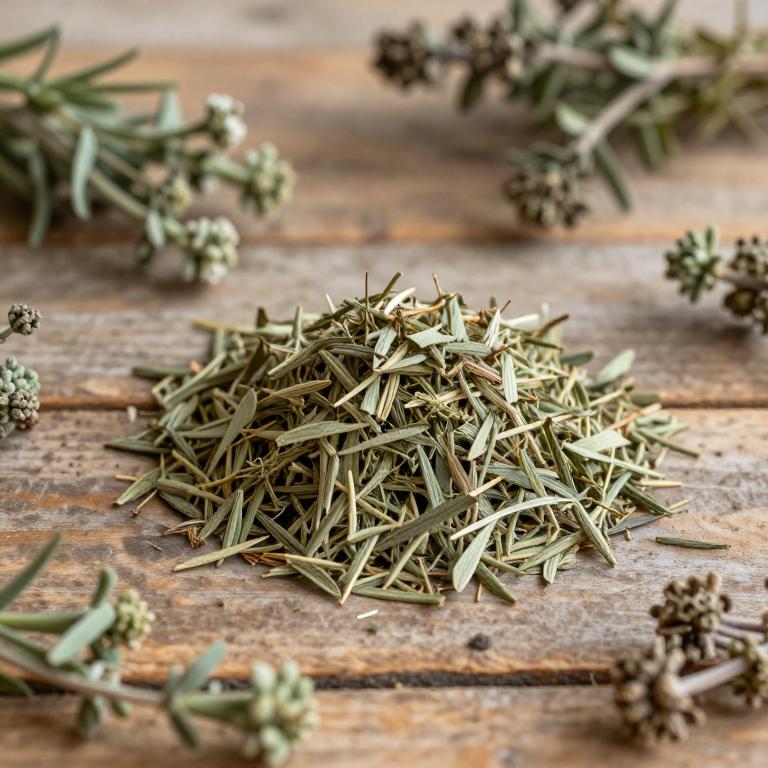 herbal Greek Micromeria