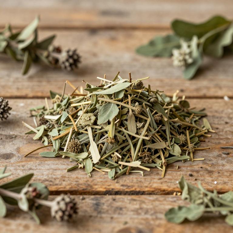 herbal Nardostachys Jatamansi