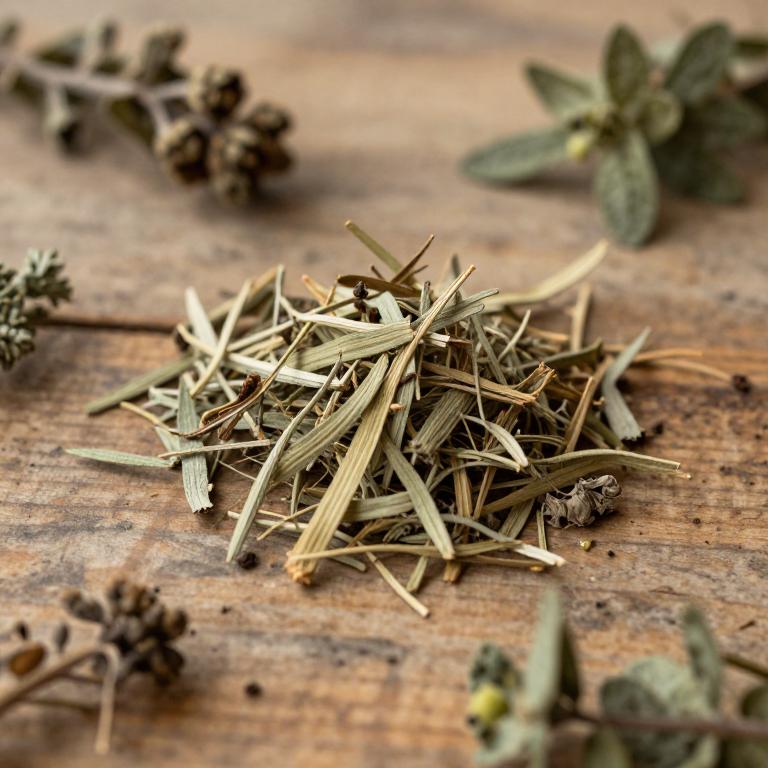 herbal Incised Notopterygium