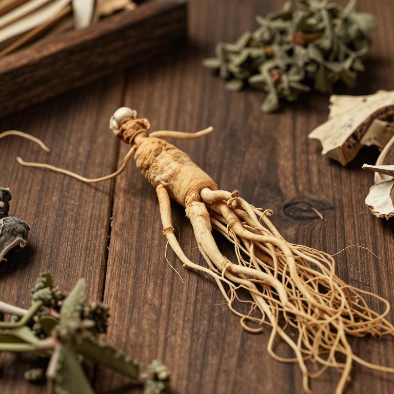 herbal Notoginseng