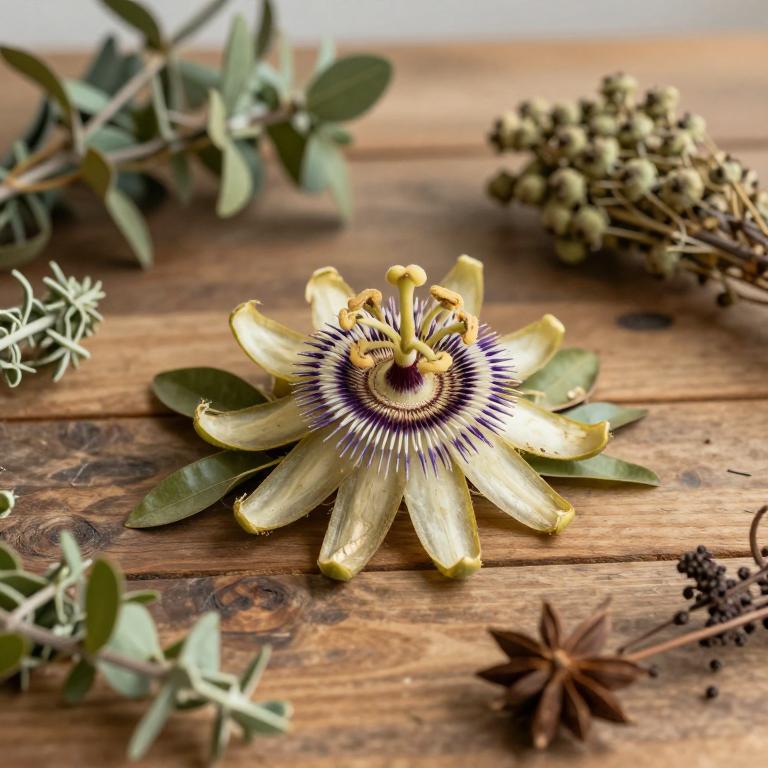 herbal Passion Fruit