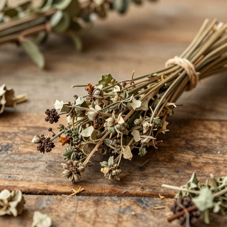 herbal Solomon'S Seal