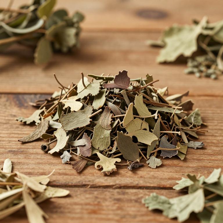 herbal Chinese Knotweed