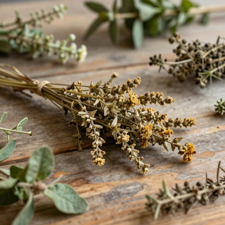 herbal White Cinquefoil