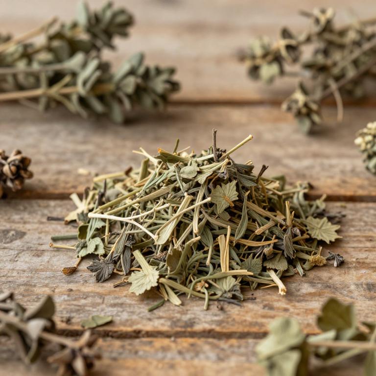 herbal Winter Savory