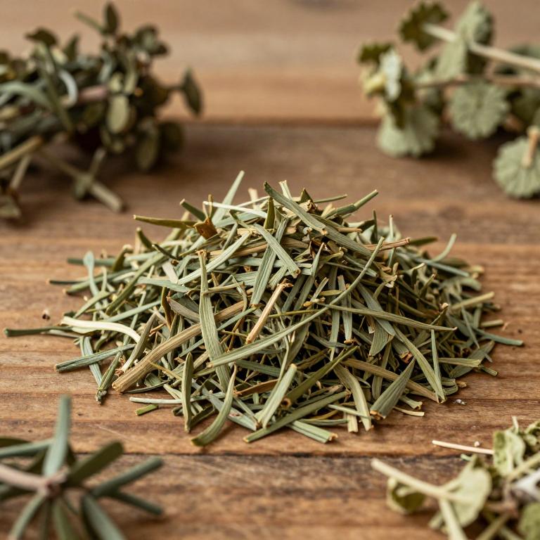 herbal Chinese Catnip