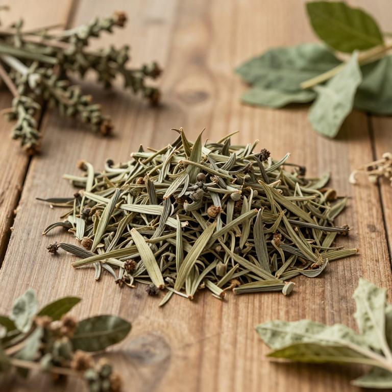 herbal Chinese Skullcap