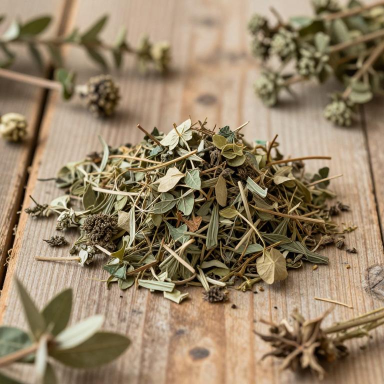 herbal Golden Shower Tree