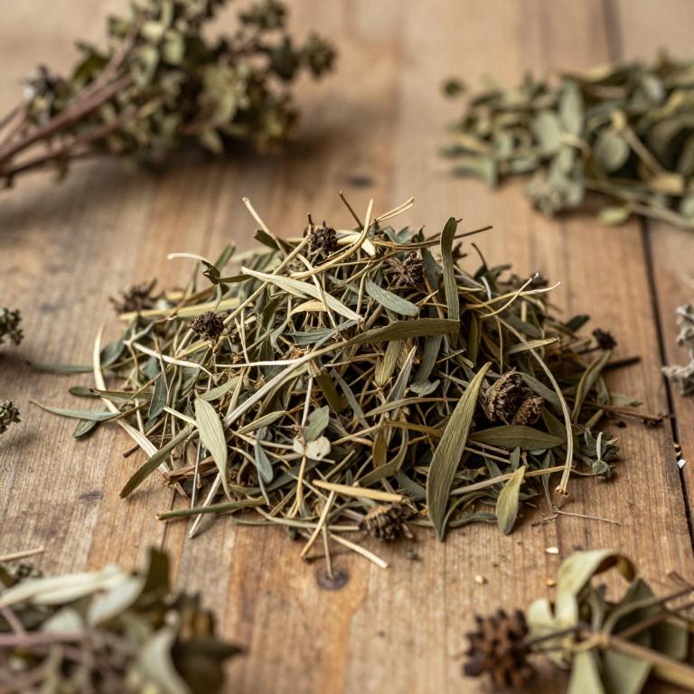 herbal Tetrapleura Tetraptera