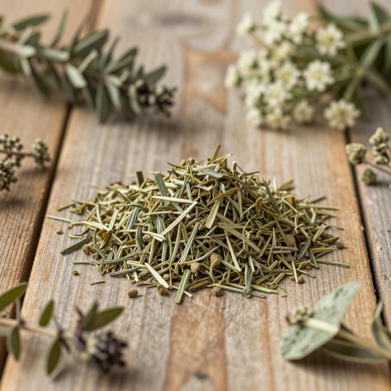 herbal Thyme