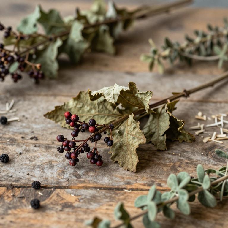 herbal Sweet Viburnum