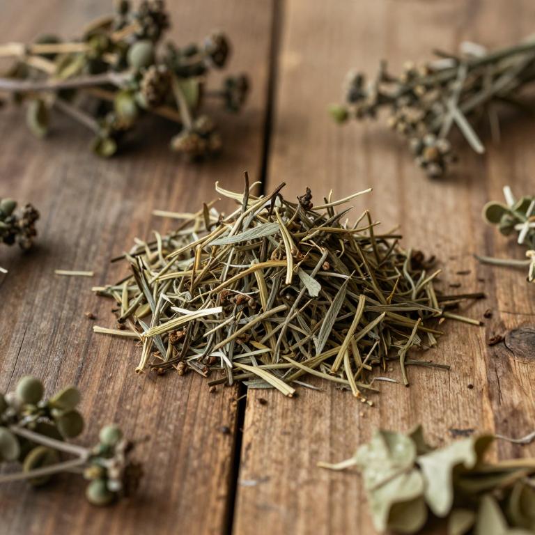 Pseudomalmea boyacana