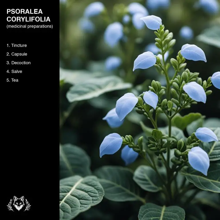 preparations of Psoralea corylifolia