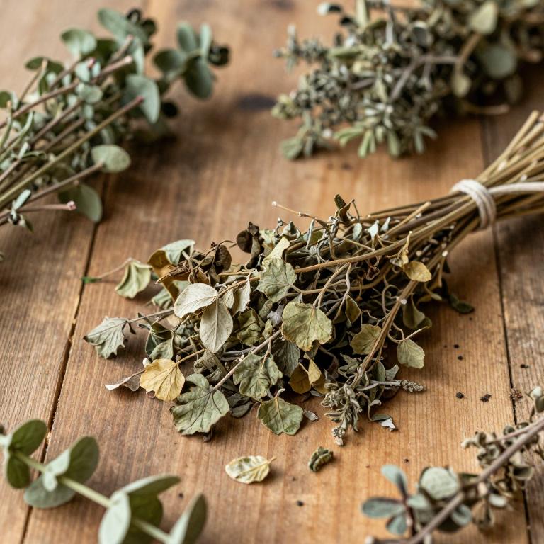 Ptelea trifoliata