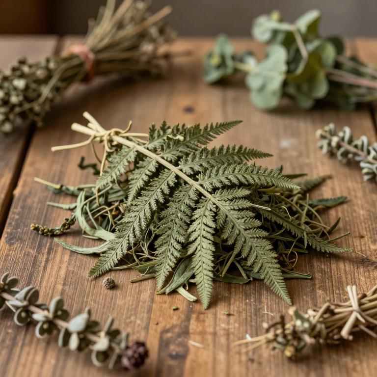 Pteridium aquilinum