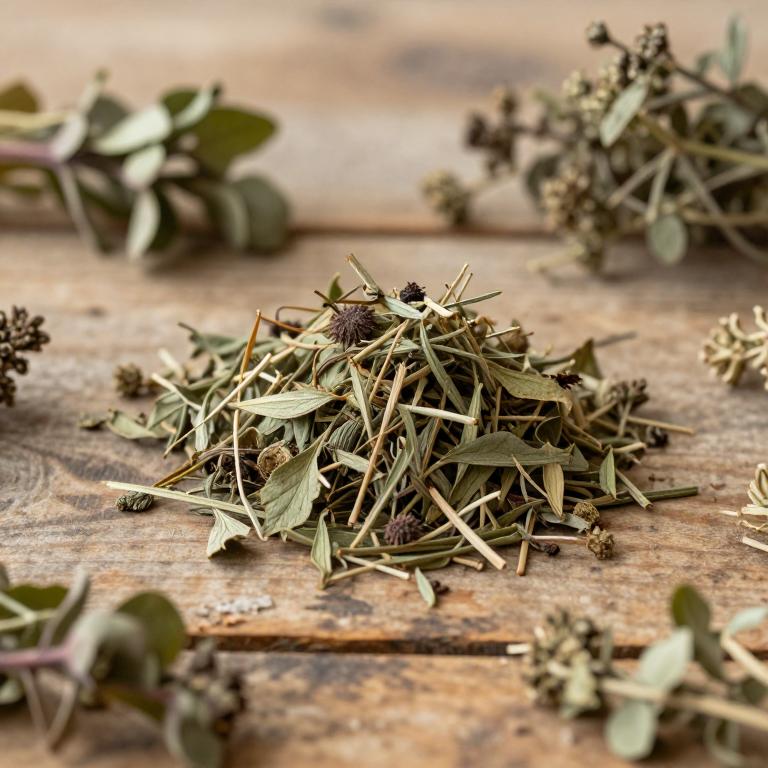Pulicaria burchardii