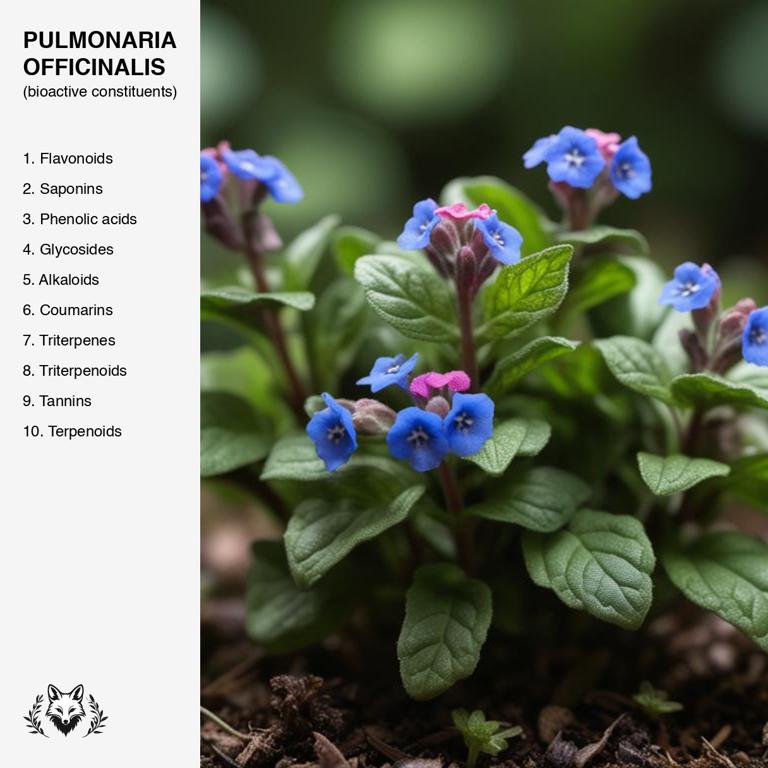 constituents of Pulmonaria officinalis