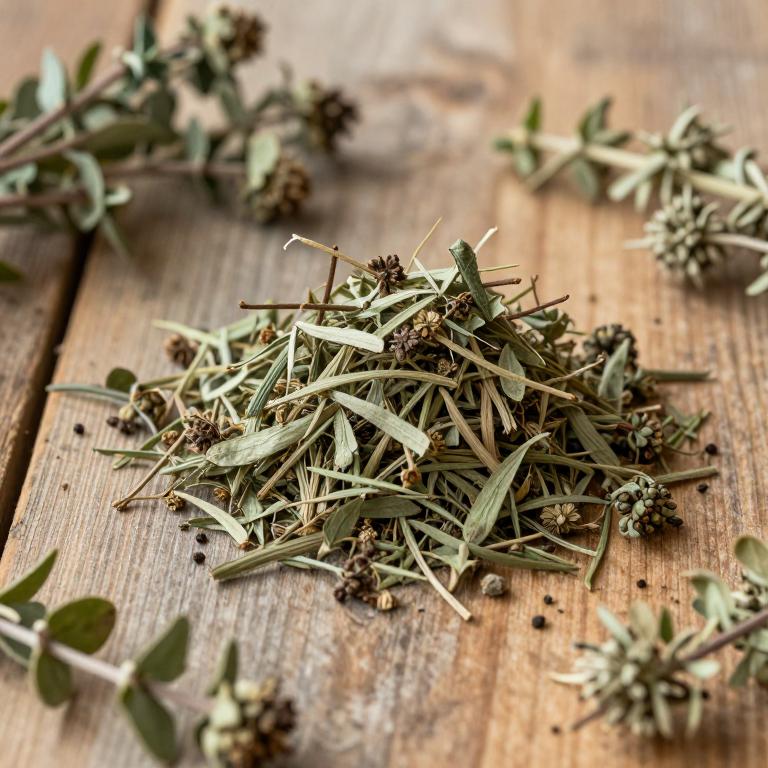 Rhamnus disperma