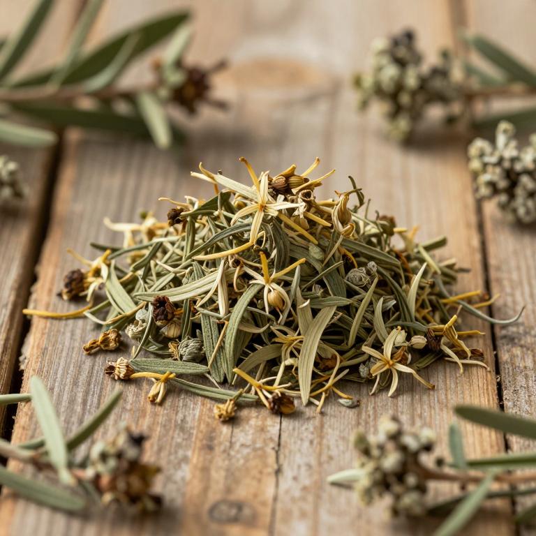 Rhodiola algida