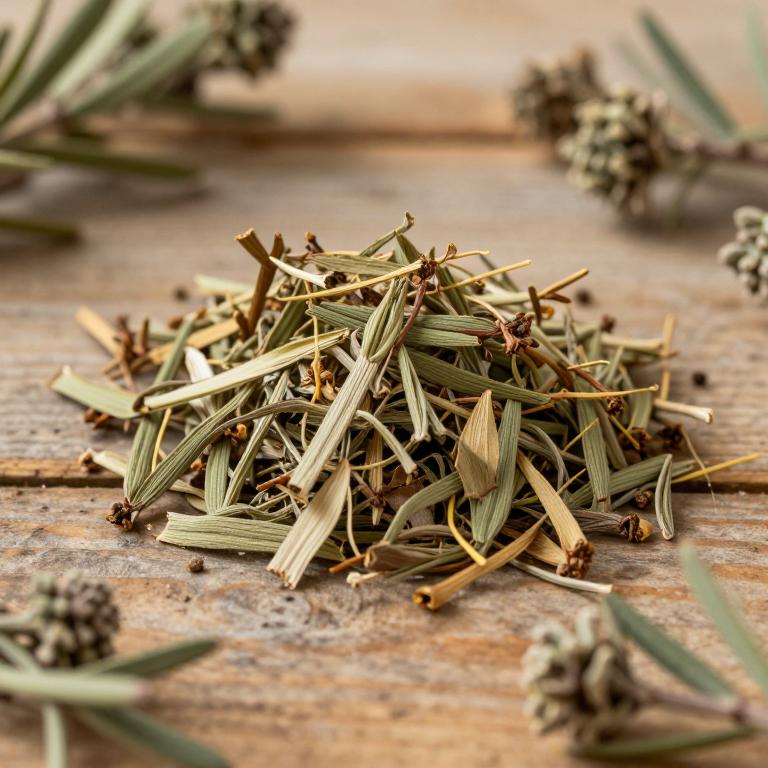 Rhodiola semenovii