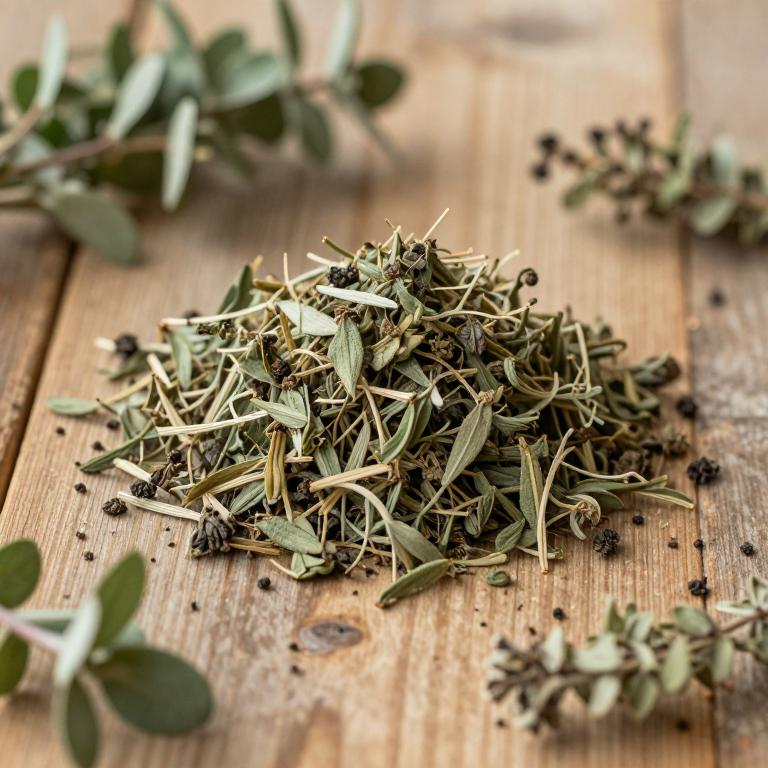 Rorippa sylvestris