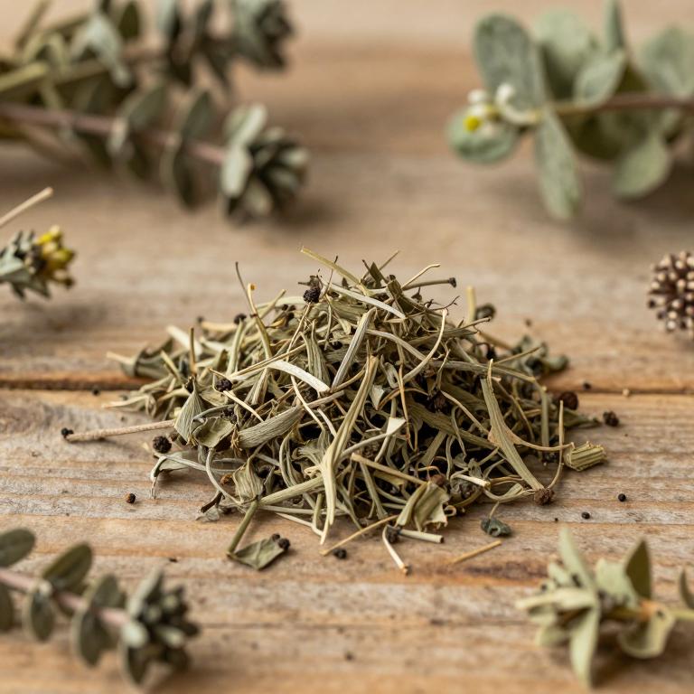 Roylea cinerea