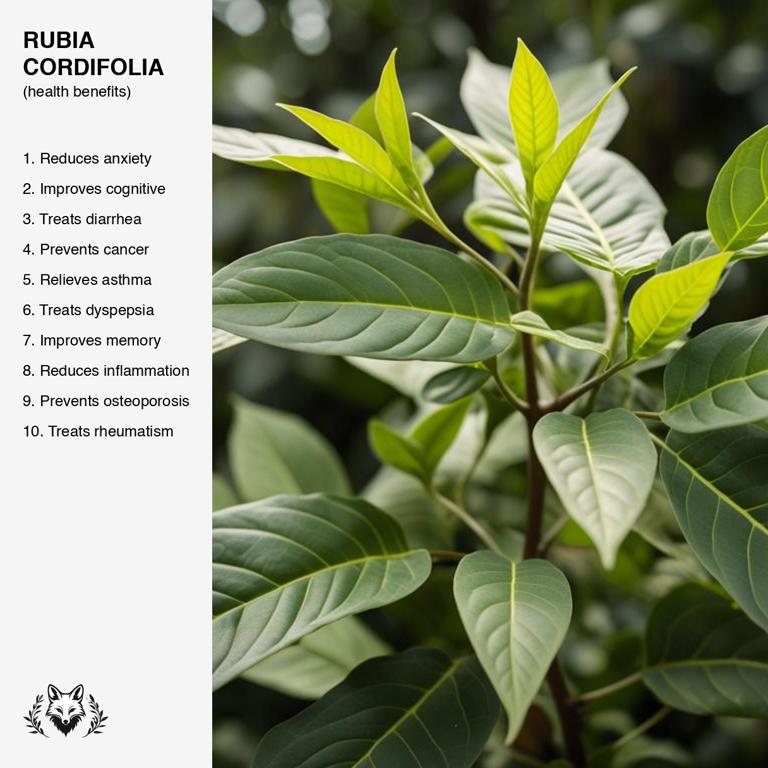 benefits of Rubia cordifolia