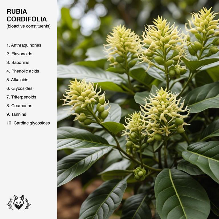 constituents of Rubia cordifolia