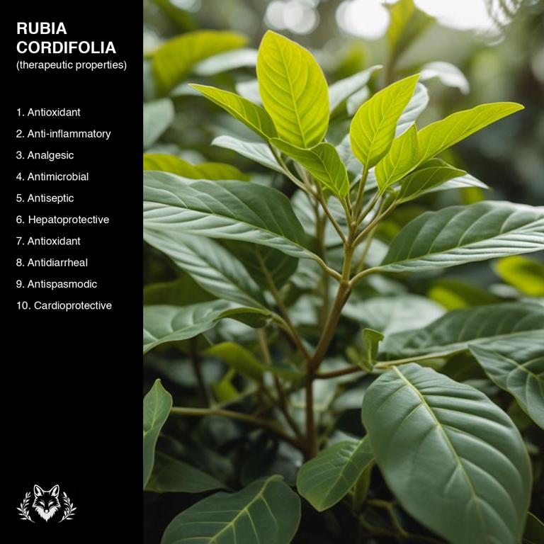 properties of Rubia cordifolia