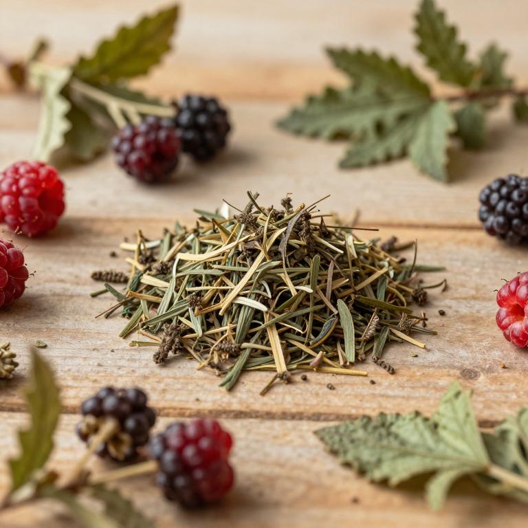 Rubus rosifolius