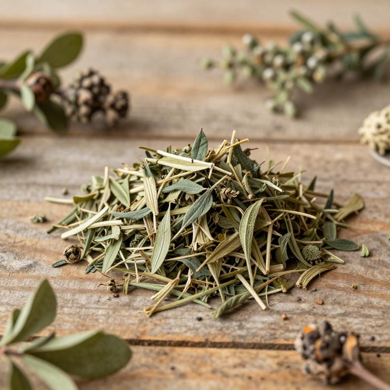 Ruscus