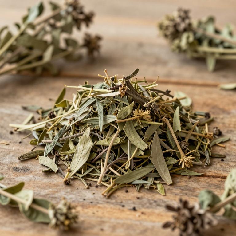 Salacia impressifolia
