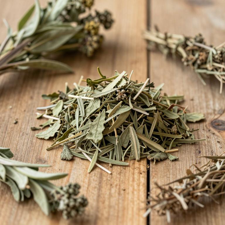 Salsola