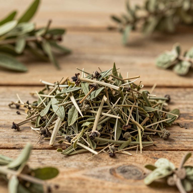 Salvia miltiorrhiza var. miltiorrhiza