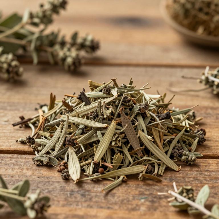 Salvia yangii