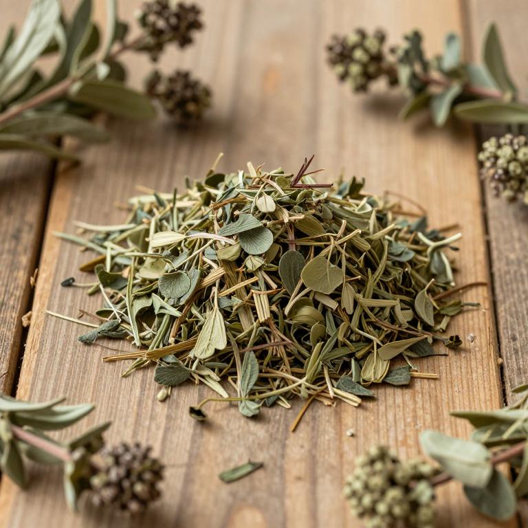 Sambucus peruviana