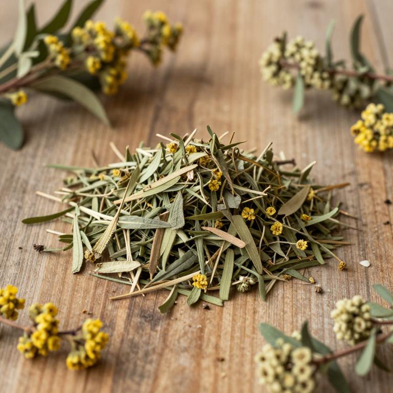 Sambucus racemosa