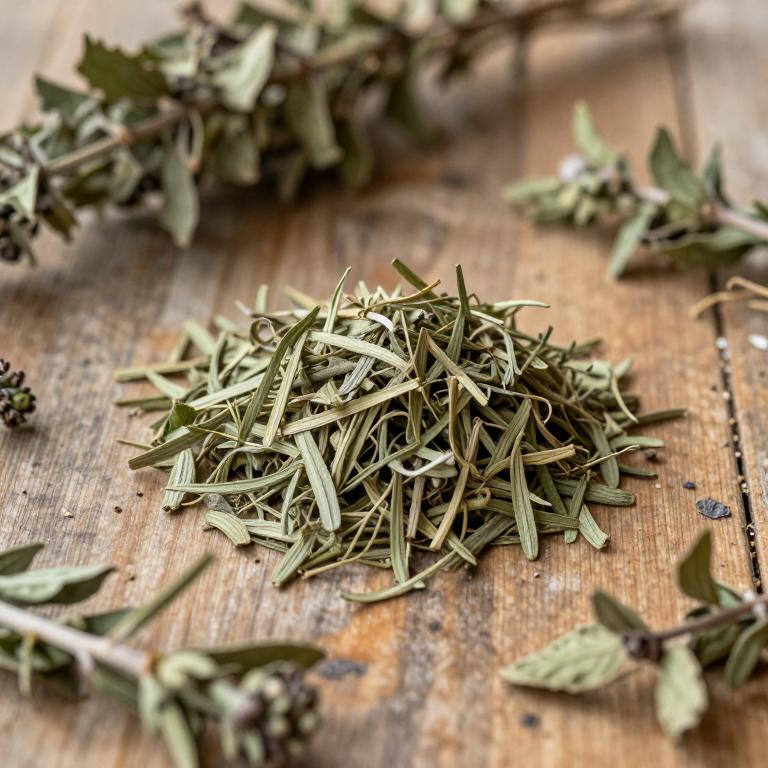 Sambucus
